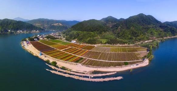 走进美丽的石浦村