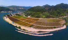 走进美丽的石浦村