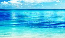 留在心底的故事