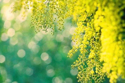 值得珍惜的痛苦