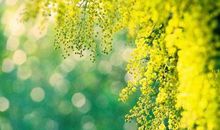 值得珍惜的痛苦