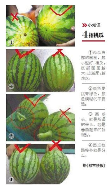 摘西瓜