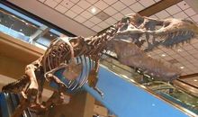 还没道一声再见