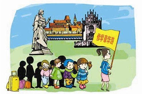 我的游学论文