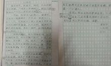 山茶花作文三年级