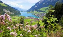 老家门前的美景让我沉醉