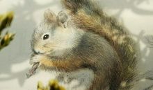 在心里埋下一颗种子