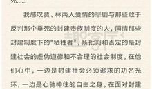 描写红楼梦人物的作文