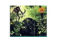 丛林历险记读后感