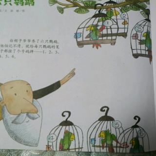 我与鹦鹉的故事