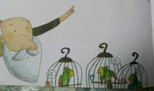 我和鹦鹉的故事