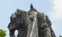 清月虽无字，常读便是书