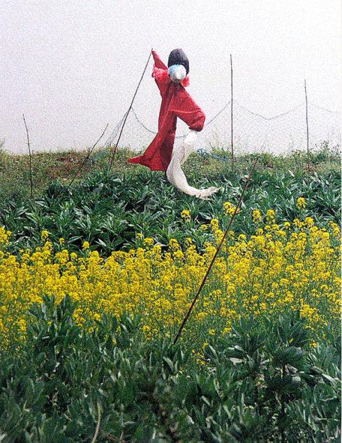 稻草人快乐