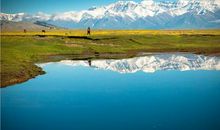 游赛里木湖
