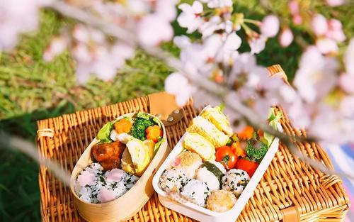 生活需要一点绿色