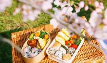 生活需要一点绿