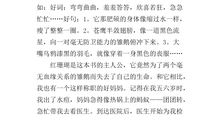 白天鹅红珊瑚读后感