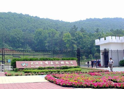 游览九峰动物园