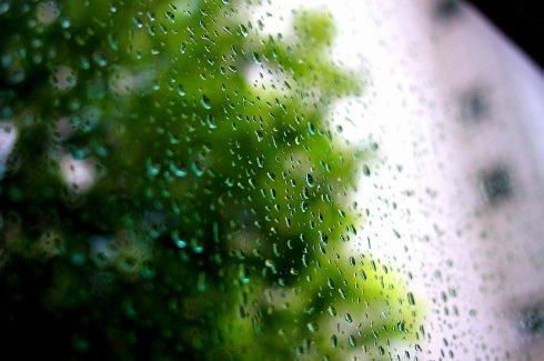 下雨真好看