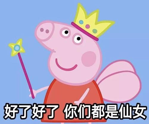 有一种时髦叫全力以赴