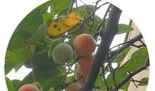 捡拾忽略的美好