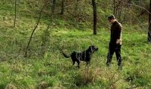 生活教给我们做人的道理