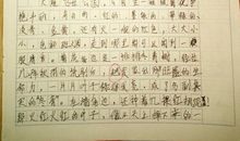 小屁孩日记读后感