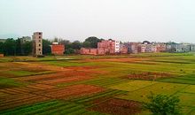 家乡田野也迷人