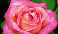 每滴水都有春天