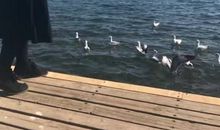 把困难踩在脚下