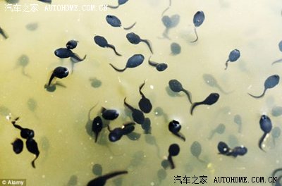 ““移动”