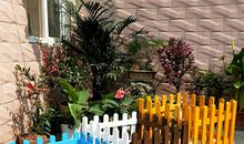 给花园取个名字