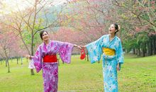 快乐的手拉手活动