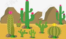 沙漠中的仙人掌