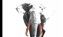 没有买卖就没有伤害