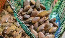 那一次尴尬之旅