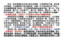 这一刻，我的世界春暖花开