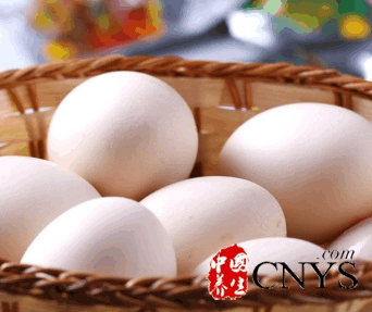 蛋壳的神奇旅程