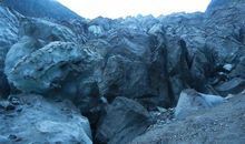 追逐自由的脚步