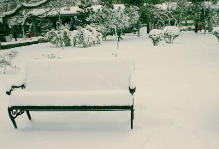 城市雪