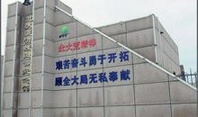 忆，院中的白杨