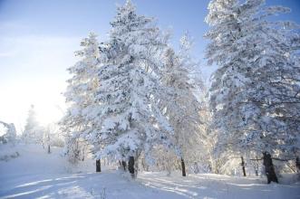 雪谷之旅