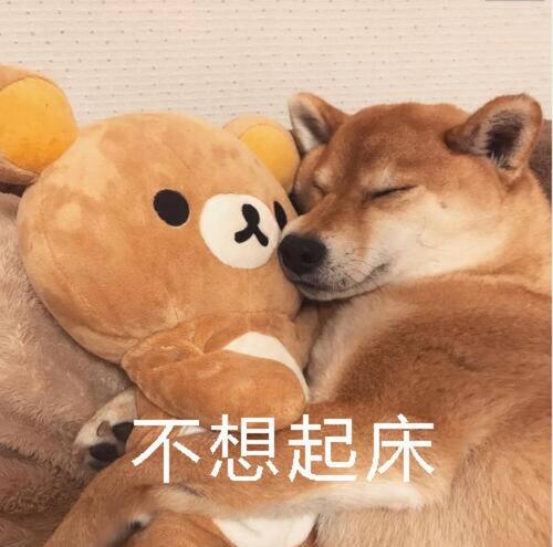 我不想起床