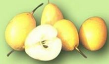 家乡的特产——软儿梨