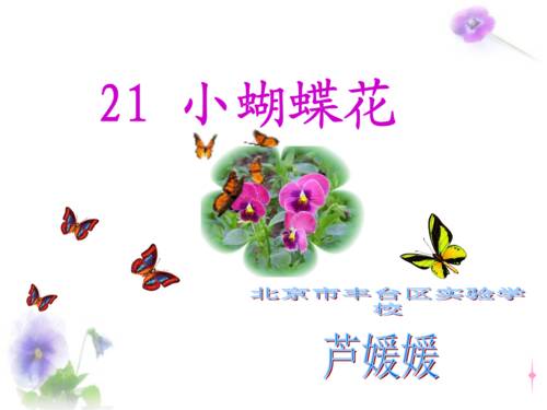 关于阅读《小蝴蝶》的思考