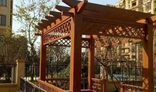 家门前的葡萄架