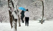 那一道洁白的倩影