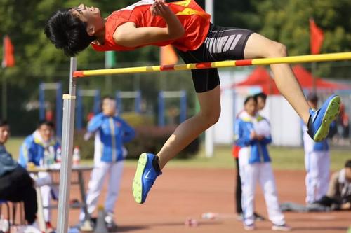 在运动会上，我很感动