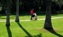 我喜欢的中山公园