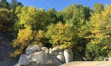 我的家乡大兴安岭